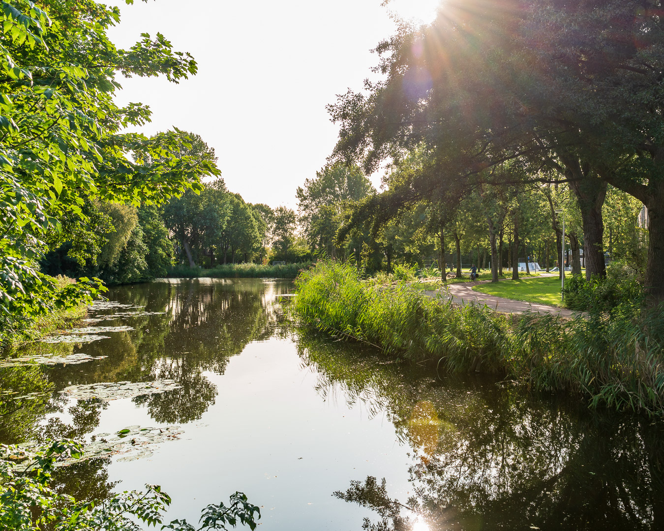 Huidige situatie van het Gorsebos