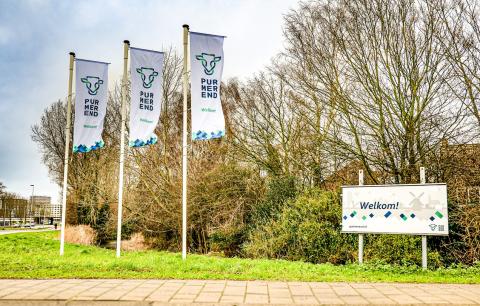 Vlaggen met gemeentenaam en logo