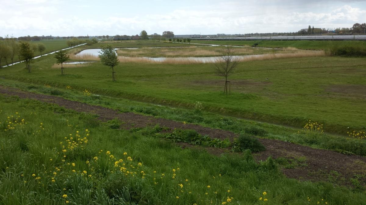 Uitzicht over de natuurzone en de schelpeneilanden