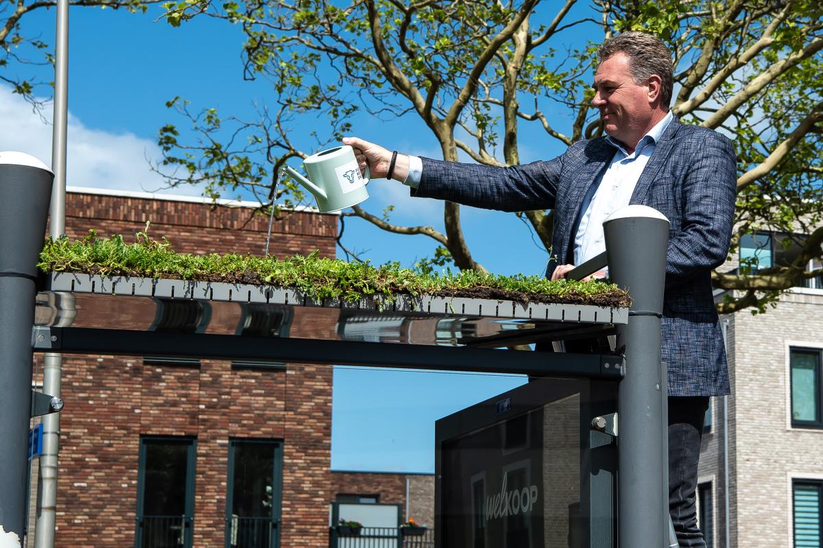 groene abri wethouder coen lageveen