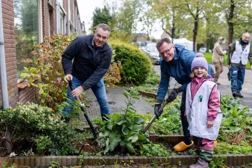 struikroven in de boeierstraat