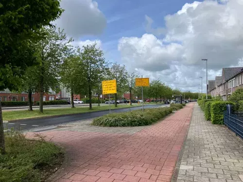 Zambezilaan